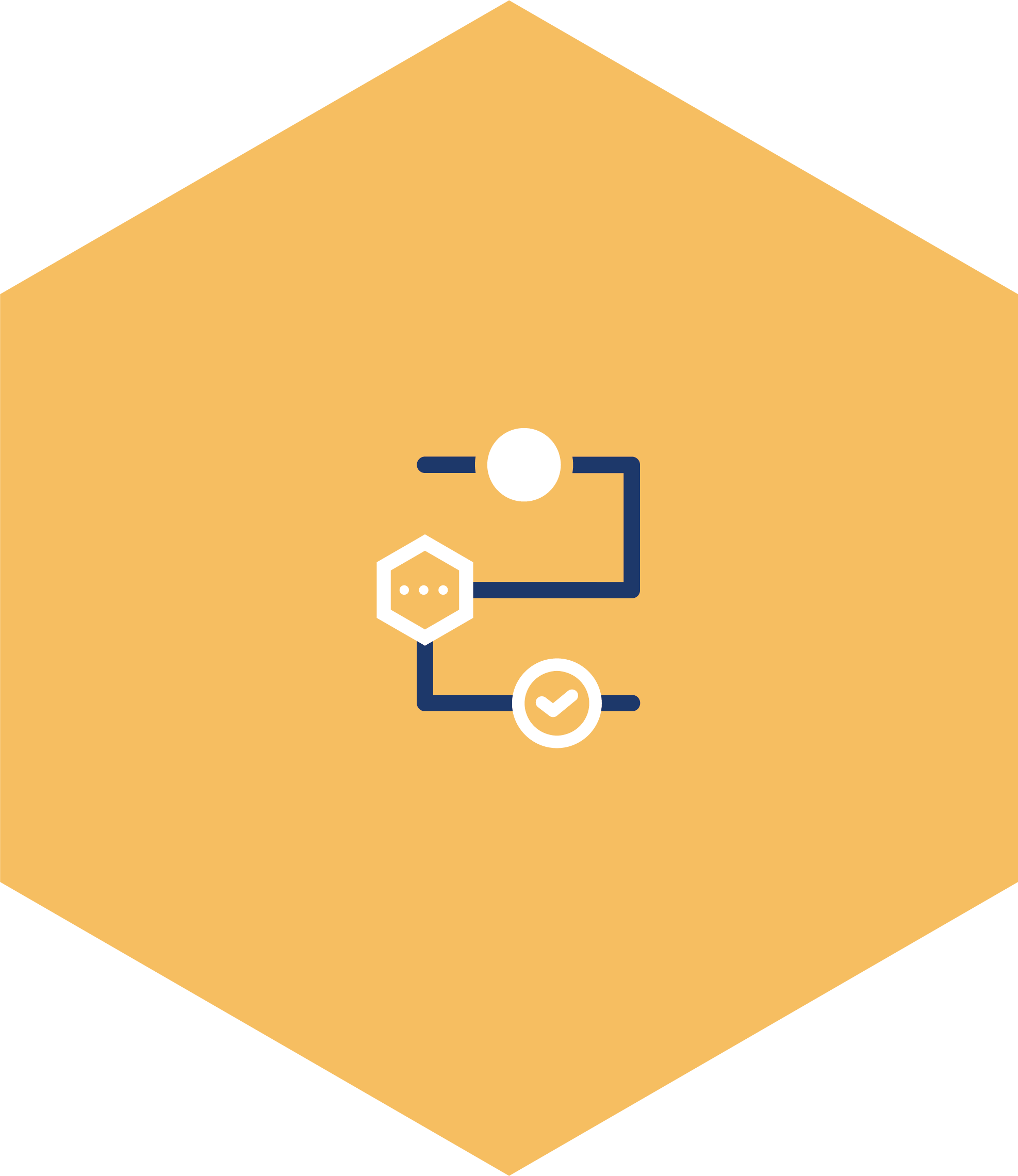Process | OpenSight